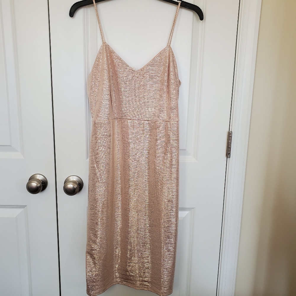 Pink Blush Gold Shimmer Dress